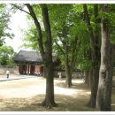 경기전풍경
