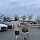 토마토모터스 | 2026 루이비통 사보아 레베 제주도 이벤트