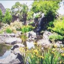 늘푸른사슴목장 이미지