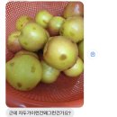 달콤형제농원