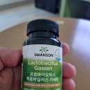주식회사 케이비식품 | 유산균다이어트를 목표 스완슨 락토바실러스 가세리