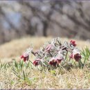 들꽃카페 이미지