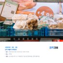 봄(春)춘자 맥주 | [2026 최신] 다시해봄(春)! 광주 양동통맥축제 완전 정복 가이드
