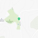 파트라슈애견센타 네이버블로그