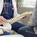 생명나무한의원 이미지