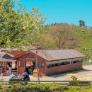 햇살마루목장 | 2025 가을 가봐야 할 국내 여행지 &#39;대관령 양떼목장&#39; 나들이 코스!