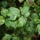 동트는어린이집 이미지