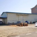 송해면-3 이미지