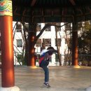 대건태권도 이미지