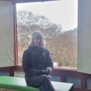 사초 해변공원 이미지