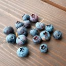 대권민박 | 임랑해수욕장_통클하계엠티