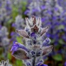 태백초등학교 이미지