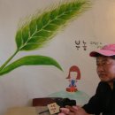 표선중학교 Daum카페