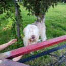 스테이 쉬온 이미지