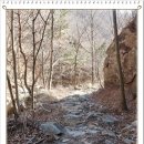비산천 이미지