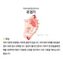 뜨렌비 네이버블로그
