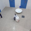 스위밍키즈 이미지