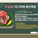 실험의 세계로 떠나는 과학여행 이미지