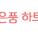보라펫 이미지