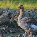 신농종합기계 이미지