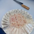 울산회센타