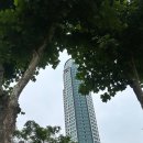 SG행정사사무소 이미지