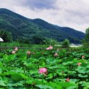 777공인중개사사무소 이미지