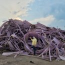 중앙동104 이미지