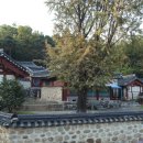 공릉천변 | 파주 교하향교, 옛 교하현 공립교육기관