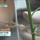 청양세탁소 이미지