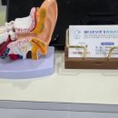 매디칼보청기 네이버블로그