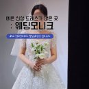 [W17] 예쁜 신상 실크, 비즈 맛집의 웨딩드레스가 많은 곳, 웨딩모니크 드레스 투어 후기
