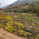 진밭골산림욕장 이미지