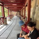 구름다리 버스정류장 | 부모님과 함께 3박4일 대만여행 #4 (우라이 꼬마기차, 케이블카, 운선낙원, 카발란 위스키)