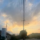 빙상장 횡단보도 이미지