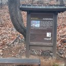 시온메디 이미지