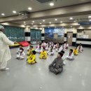 경희대 부부 태권도 이미지