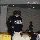 베스트오브베스트