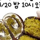 팔레트디저트