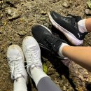 대구 야간데이트 대구 가볼만한곳 대구 야간산행: 대구 앞산공원