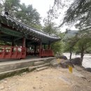 선경 양봉 이미지