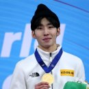 임효준 카카오 검색결과