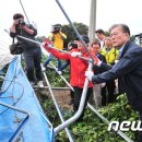 제주특별자치도개발공사(감귤1공장) 이미지