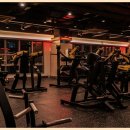짐박스 피트니스 응암1호점 | 응암 헬스장 짐박스 피트니스 응암1호점 24시간 가성비와 몰입도를 모두 잡은 곳