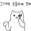 숲이루다