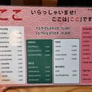 고꼬
