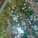 동화숲민박 이미지