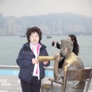 101231 홍콩 마카오 베네치아 카지노 홍콩 야경 사진 이미지