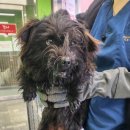 소초함께의원 이미지