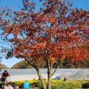 찬화농장 이미지